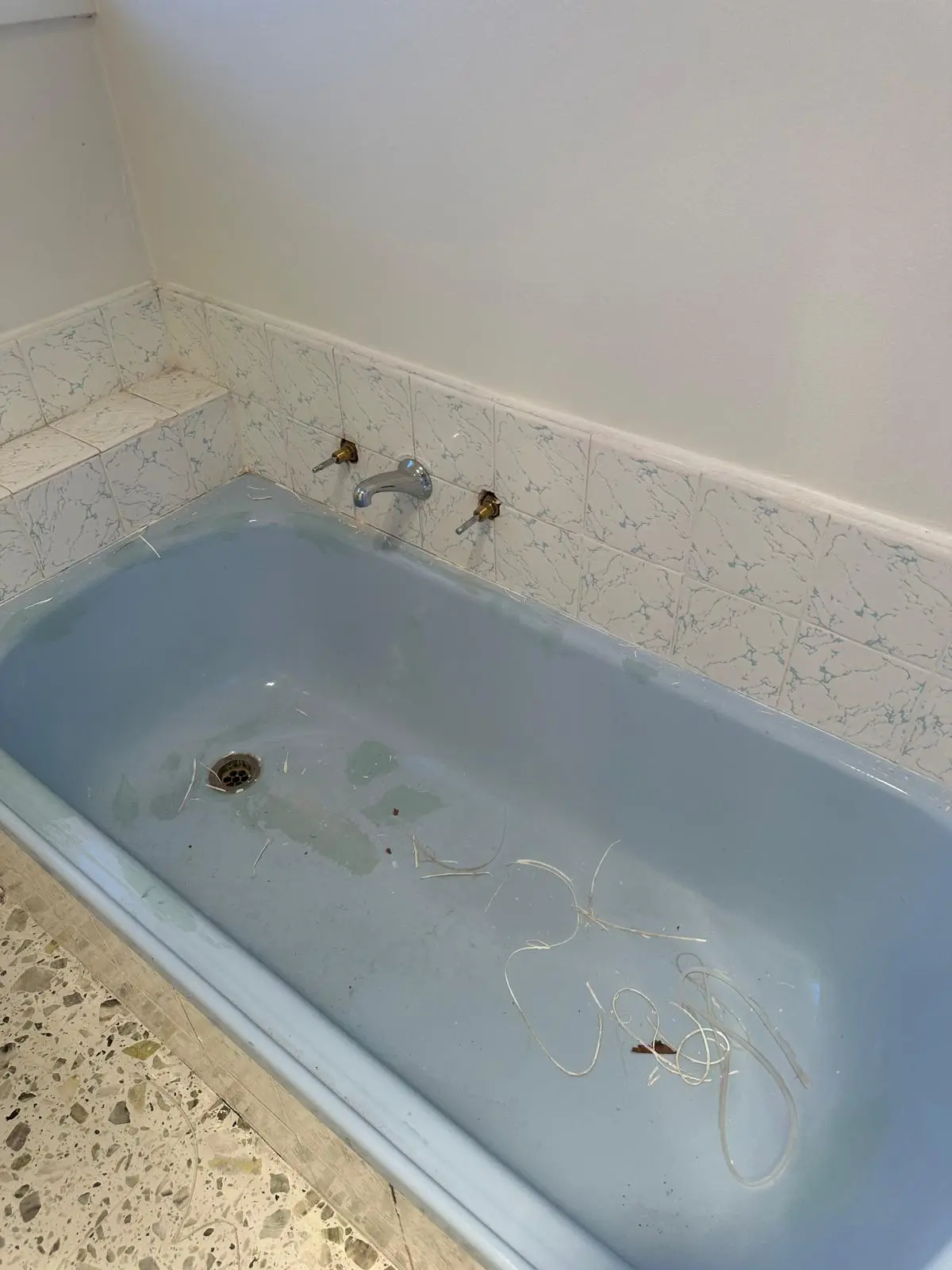 Original blue bathtub before renovation